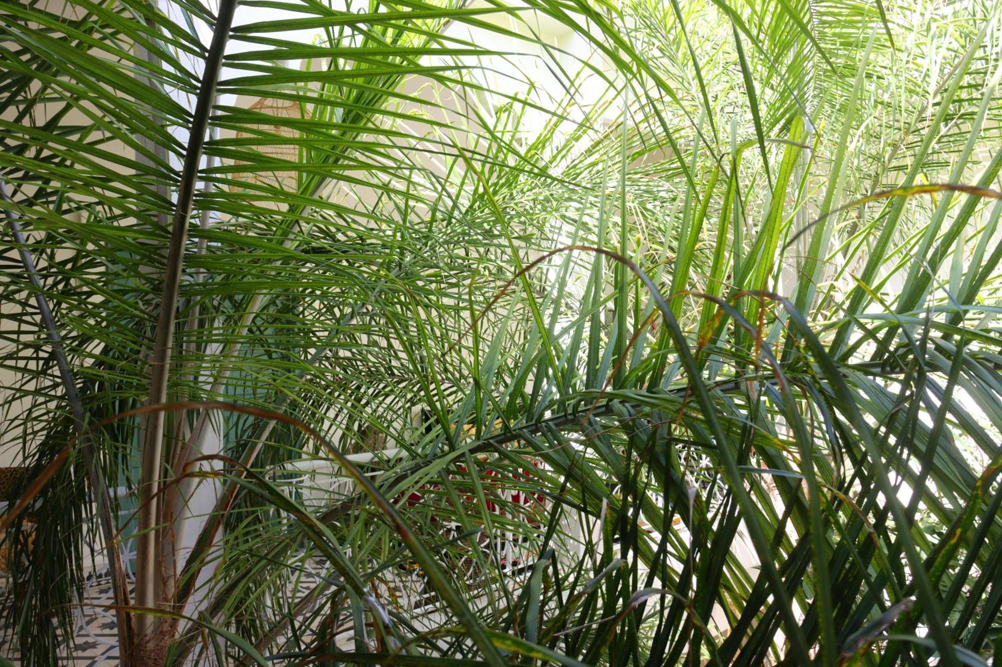 Riad Naanaa Bed & Breakfast Марракеш Екстер'єр фото